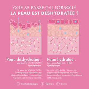 Eau Extraordinaire - Essence Hydra-Repulpante Source de Roses