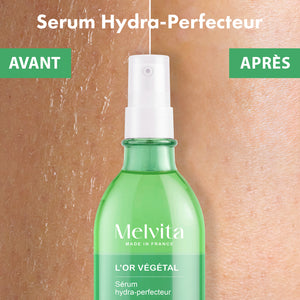 Routine Corps Hydra-Perfectrice L'Or Végétal